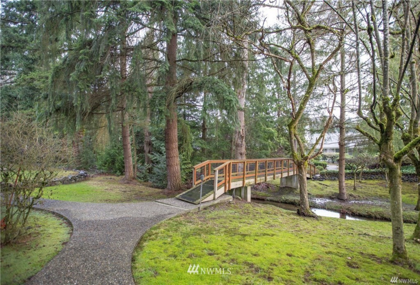 2440 140th, Bellevue, Washington 98005, 2 Bedrooms Bedrooms, ,Residential Lease,For Rent,Innisglen,140th,NWM1877153
