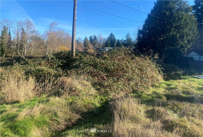 3005 104th, Seattle, Washington 98146, ,Land,For Sale,104th,NWM1877086