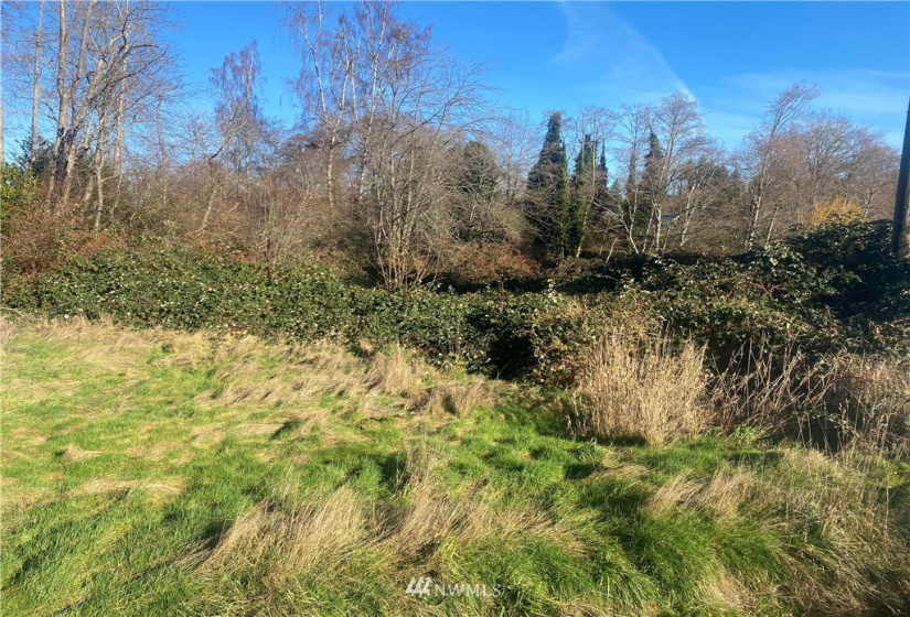 3005 104th, Seattle, Washington 98146, ,Land,For Sale,104th,NWM1877086