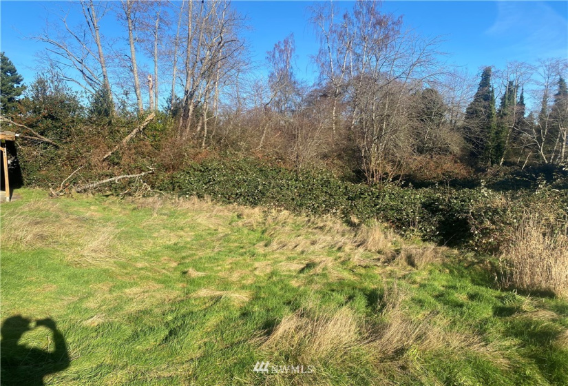 3005 104th, Seattle, Washington 98146, ,Land,For Sale,104th,NWM1877086