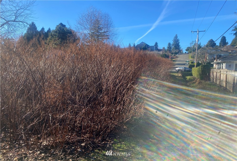 3005 104th, Seattle, Washington 98146, ,Land,For Sale,104th,NWM1877086