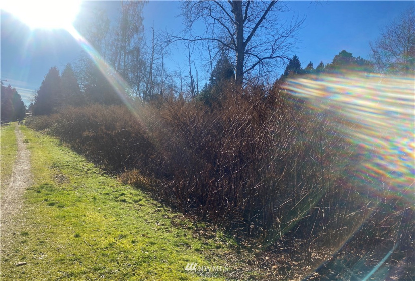 3005 104th, Seattle, Washington 98146, ,Land,For Sale,104th,NWM1877086