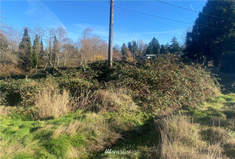 3008 105th, Seattle, Washington 98146, ,Land,For Sale,105th,NWM1877083