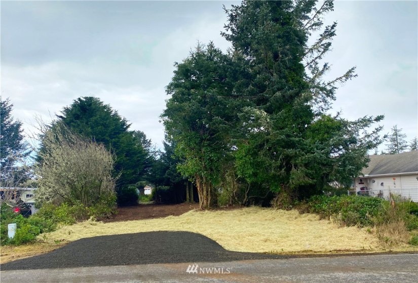 205 Canal, Ocean Shores, Washington 98569, ,Land,For Sale,4,Canal,NWM1877233
