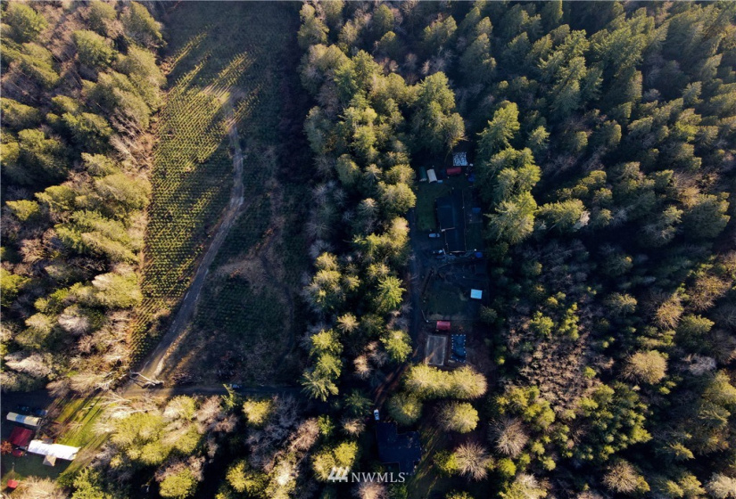 0 Anderson, Shelton, Washington 98584, ,Land,For Sale,Anderson,NWM1877250