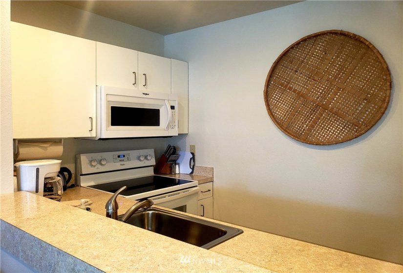 1 Nekquelekin 413-F, Manson, Washington 98831, 2 Bedrooms Bedrooms, ,2 BathroomsBathrooms,Residential,For Sale,Nekquelekin,Nekquelekin 413-F,NWM1877147