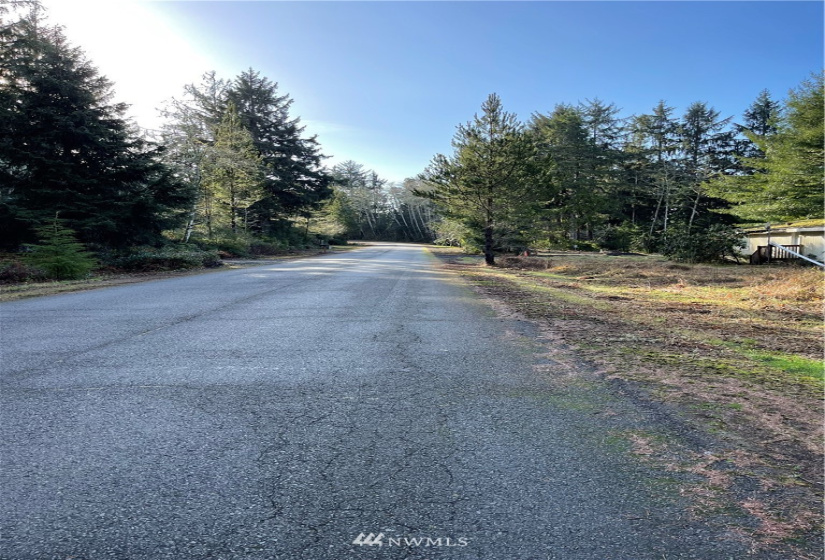 32203 Douglas, Ocean Park, Washington 98640, 2 Bedrooms Bedrooms, ,1 BathroomBathrooms,Residential,For Sale,Epsey Ridge TR Div 01,Douglas,NWM1876989
