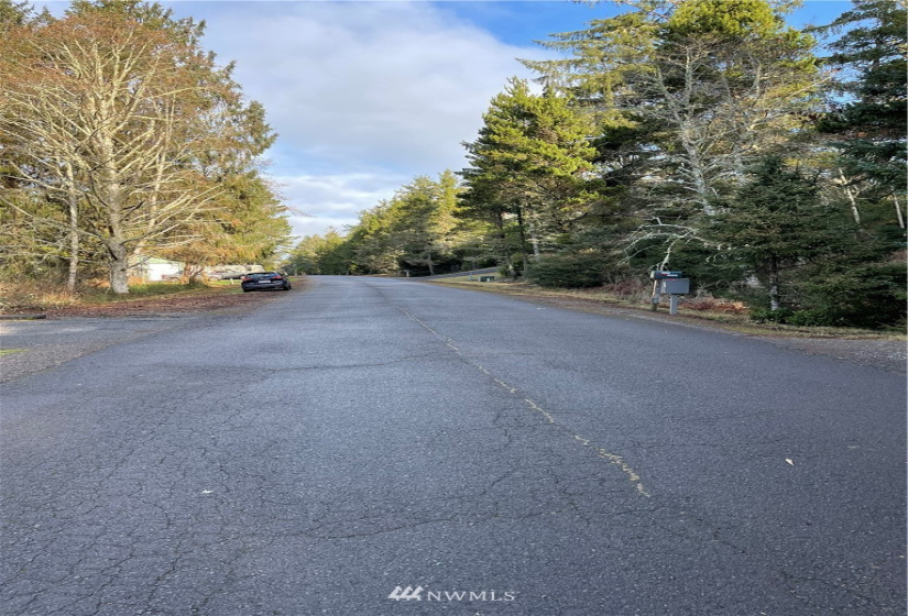 32203 Douglas, Ocean Park, Washington 98640, 2 Bedrooms Bedrooms, ,1 BathroomBathrooms,Residential,For Sale,Epsey Ridge TR Div 01,Douglas,NWM1876989