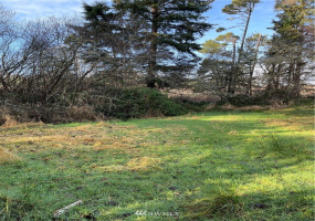32203 Douglas, Ocean Park, Washington 98640, 2 Bedrooms Bedrooms, ,1 BathroomBathrooms,Residential,For Sale,Epsey Ridge TR Div 01,Douglas,NWM1876989