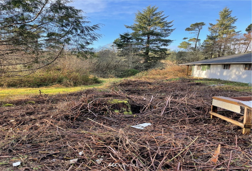 32203 Douglas, Ocean Park, Washington 98640, 2 Bedrooms Bedrooms, ,1 BathroomBathrooms,Residential,For Sale,Epsey Ridge TR Div 01,Douglas,NWM1876989