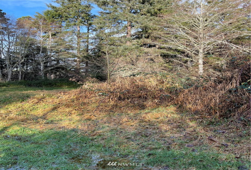 32203 Douglas, Ocean Park, Washington 98640, 2 Bedrooms Bedrooms, ,1 BathroomBathrooms,Residential,For Sale,Epsey Ridge TR Div 01,Douglas,NWM1876989