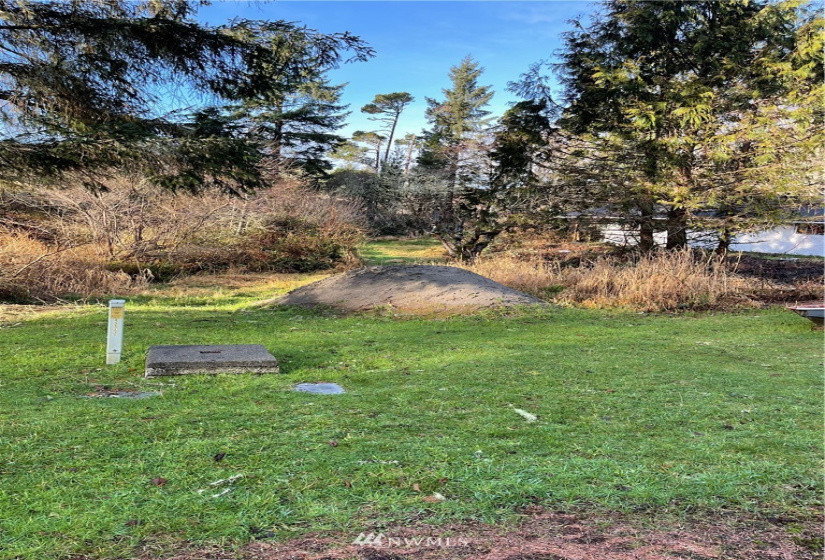 32203 Douglas, Ocean Park, Washington 98640, 2 Bedrooms Bedrooms, ,1 BathroomBathrooms,Residential,For Sale,Epsey Ridge TR Div 01,Douglas,NWM1876989