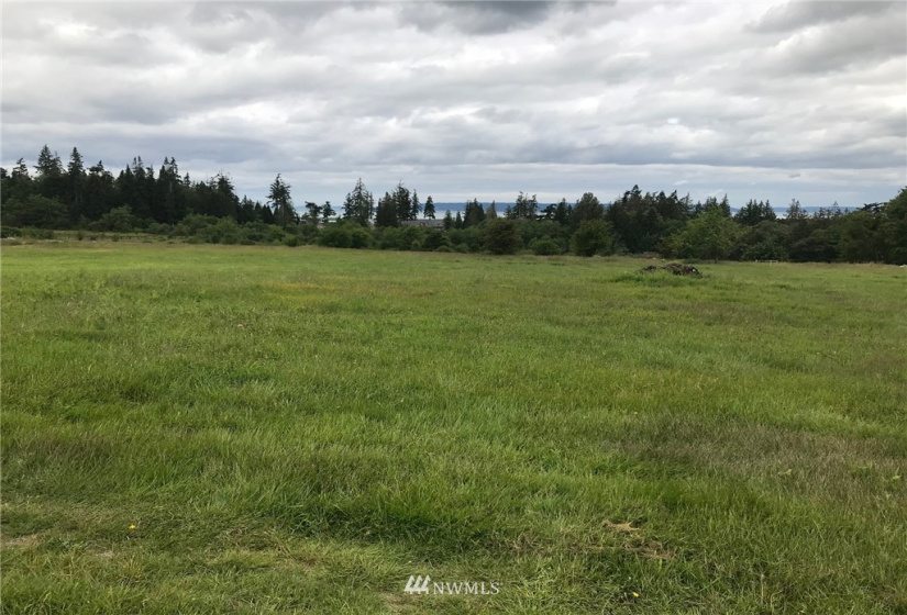 18524 Swanson, Stanwood, Washington 98292, ,Land,For Sale,Swanson,NWM1877440