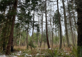 1854 Benson, Point Roberts, Washington 98281, ,Land,For Sale,Seldine Plat,Benson,NWM1877373