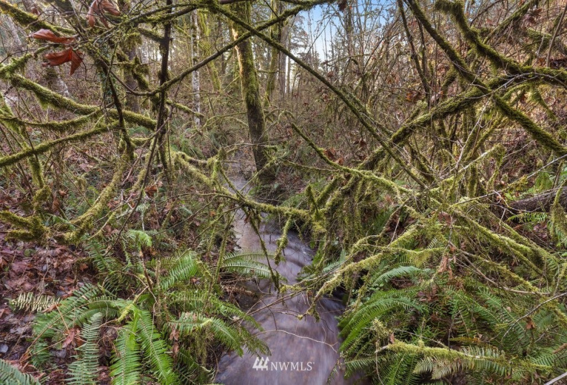 13810 115th, Gig Harbor, Washington 98329, ,Land,For Sale,115th,NWM1877238