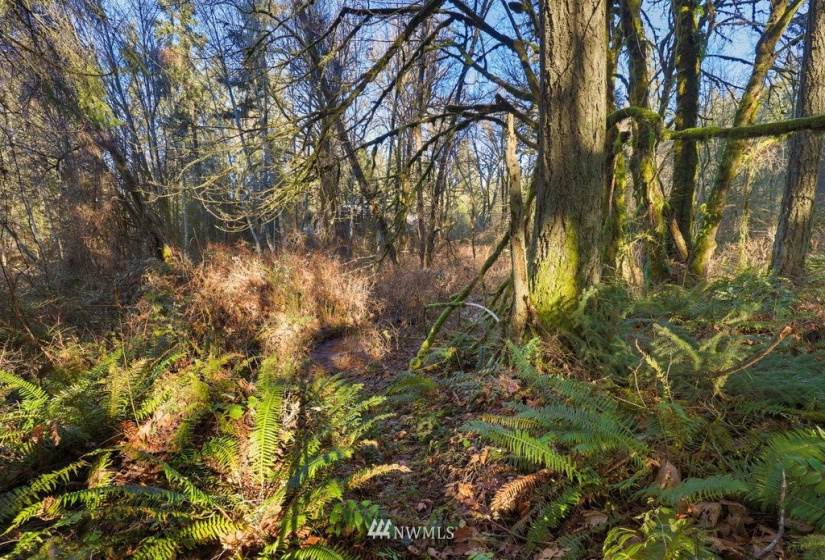 13810 115th, Gig Harbor, Washington 98329, ,Land,For Sale,115th,NWM1877238
