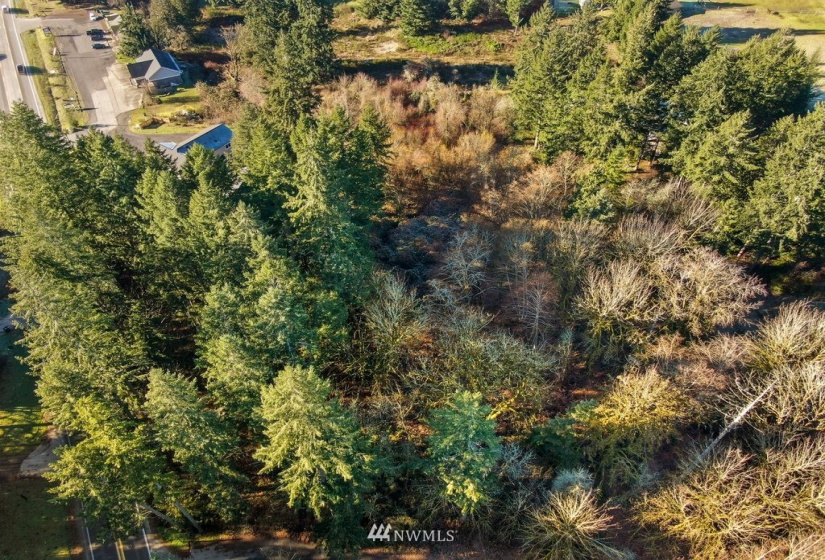 13810 115th, Gig Harbor, Washington 98329, ,Land,For Sale,115th,NWM1877238