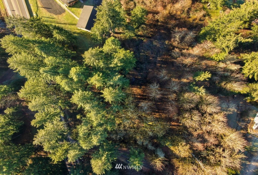 13810 115th, Gig Harbor, Washington 98329, ,Land,For Sale,115th,NWM1877238