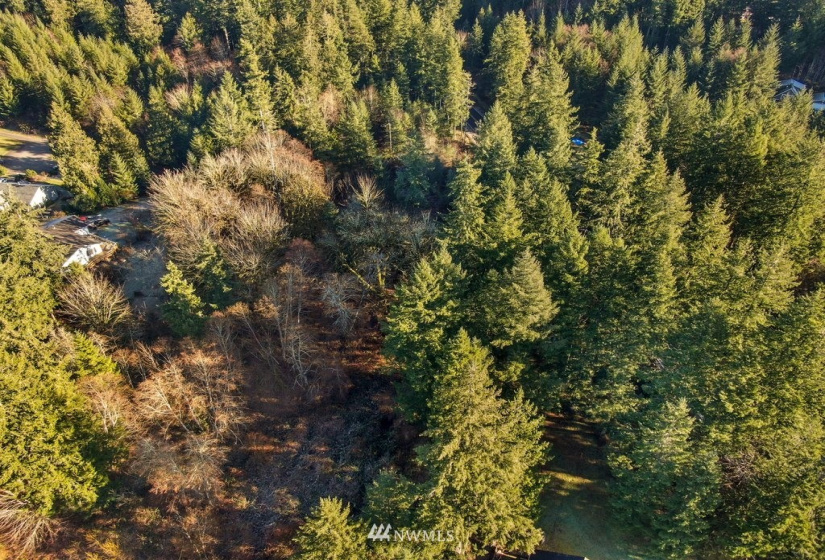 13810 115th, Gig Harbor, Washington 98329, ,Land,For Sale,115th,NWM1877238