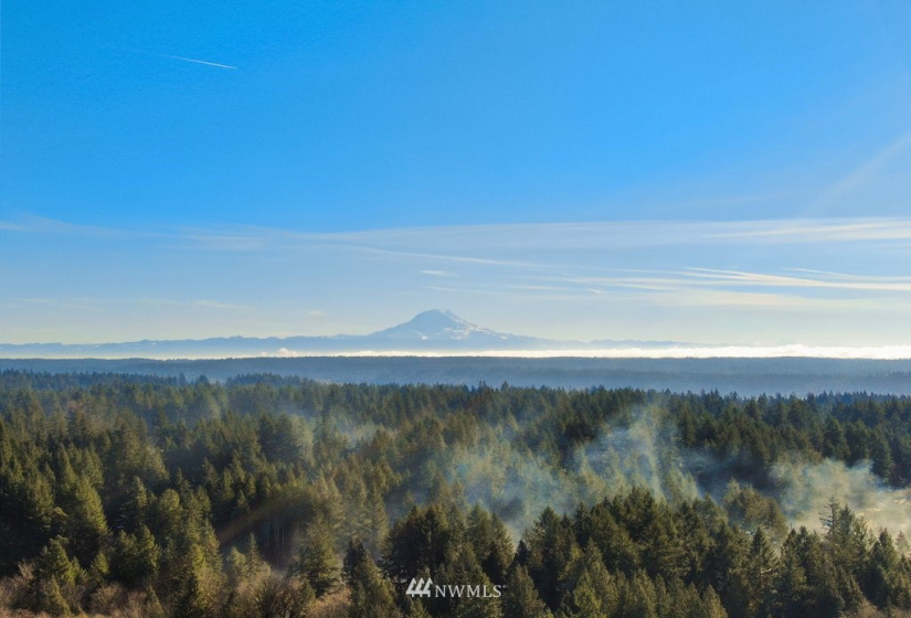 13810 115th, Gig Harbor, Washington 98329, ,Land,For Sale,115th,NWM1877238