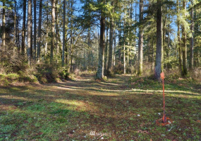 13810 115th, Gig Harbor, Washington 98329, ,Land,For Sale,115th,NWM1877238