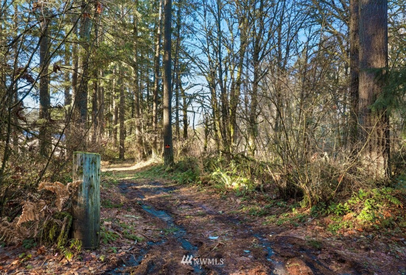 13810 115th, Gig Harbor, Washington 98329, ,Land,For Sale,115th,NWM1877238