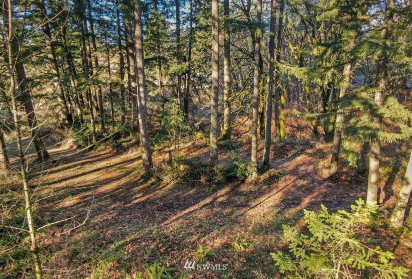 13810 115th, Gig Harbor, Washington 98329, ,Land,For Sale,115th,NWM1877238
