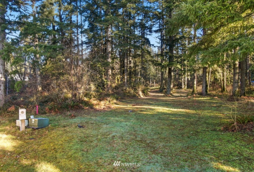 13810 115th, Gig Harbor, Washington 98329, ,Land,For Sale,115th,NWM1877238