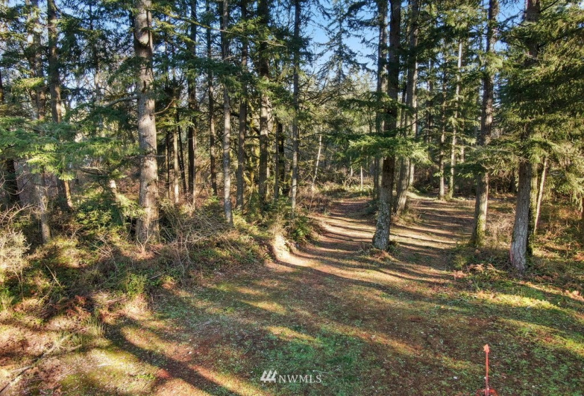 13810 115th, Gig Harbor, Washington 98329, ,Land,For Sale,115th,NWM1877238