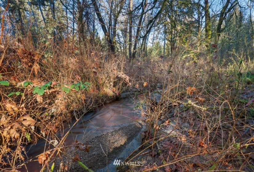 13810 115th, Gig Harbor, Washington 98329, ,Land,For Sale,115th,NWM1877238