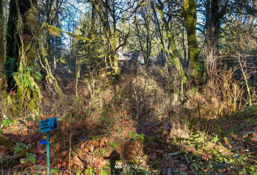 13810 115th, Gig Harbor, Washington 98329, ,Land,For Sale,115th,NWM1877238