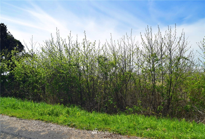 29 -6 Sunset St, Moclips, Washington 98562, ,Land,For Sale,PTN OF NORTH LOT OF BLA 18-11050073,Sunset St,NWM1877592