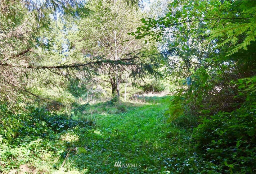 1599 Ocean Beach Rd., Copalis Crossing, Washington 98536, 2 Bedrooms Bedrooms, ,2 BathroomsBathrooms,Residential,For Sale,Ocean Beach Rd.,NWM1872341