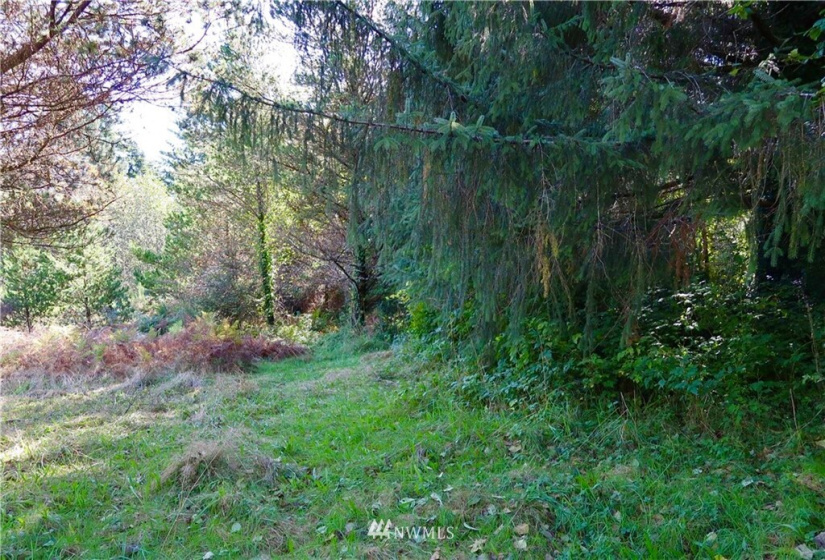 1599 Ocean Beach Rd., Copalis Crossing, Washington 98536, 2 Bedrooms Bedrooms, ,2 BathroomsBathrooms,Residential,For Sale,Ocean Beach Rd.,NWM1872341