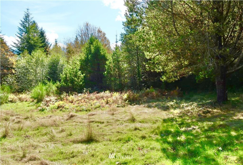 1599 Ocean Beach Rd., Copalis Crossing, Washington 98536, 2 Bedrooms Bedrooms, ,2 BathroomsBathrooms,Residential,For Sale,Ocean Beach Rd.,NWM1872341