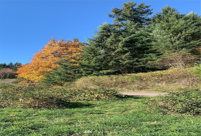 123 Idaho View, Woodland, Washington 98674, ,Land,For Sale,Idaho View,NWM1877738
