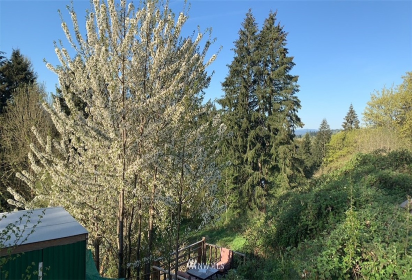 123 Idaho View, Woodland, Washington 98674, ,Land,For Sale,Idaho View,NWM1877738