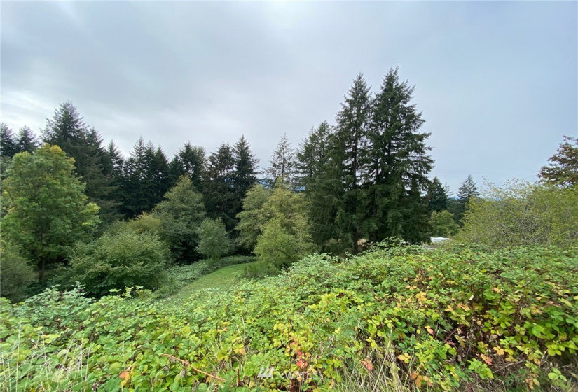 123 Idaho View, Woodland, Washington 98674, ,Land,For Sale,Idaho View,NWM1877738