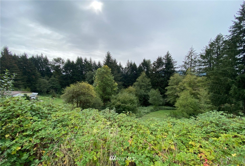 123 Idaho View, Woodland, Washington 98674, ,Land,For Sale,Idaho View,NWM1877738