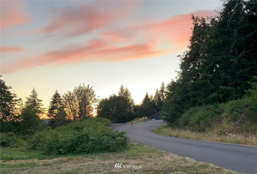 123 Idaho View, Woodland, Washington 98674, ,Land,For Sale,Idaho View,NWM1877738