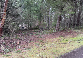 17609 Ridge, Yelm, Washington 98597, ,Land,For Sale,Ridge,NWM1876586
