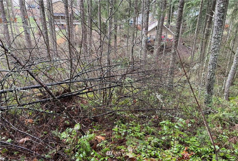 17609 Ridge, Yelm, Washington 98597, ,Land,For Sale,Ridge,NWM1876586
