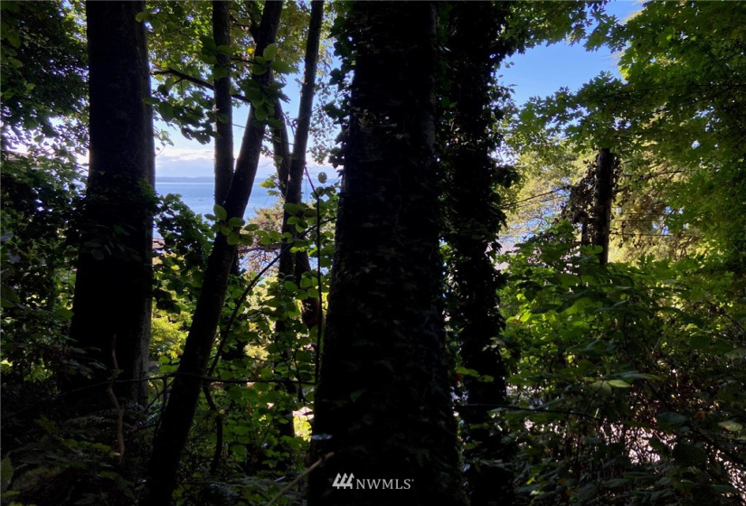 32 XX Esplanade, Seattle, Washington 98117, ,Land,For Sale,Esplanade,NWM1877171