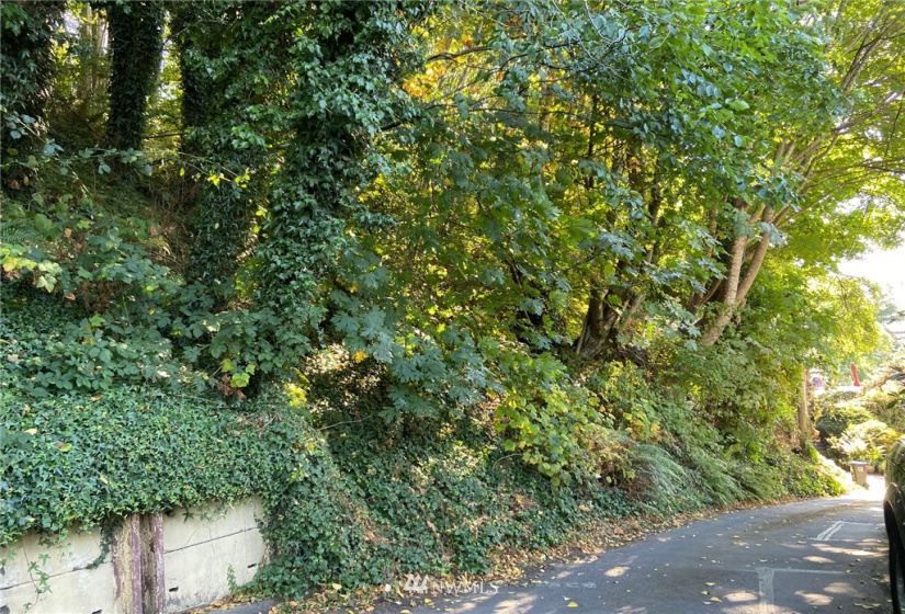 32 XX Esplanade, Seattle, Washington 98117, ,Land,For Sale,Esplanade,NWM1877171