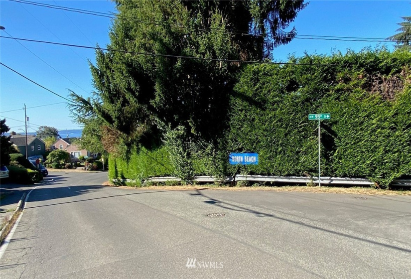 32 XX Esplanade, Seattle, Washington 98117, ,Land,For Sale,Esplanade,NWM1877171