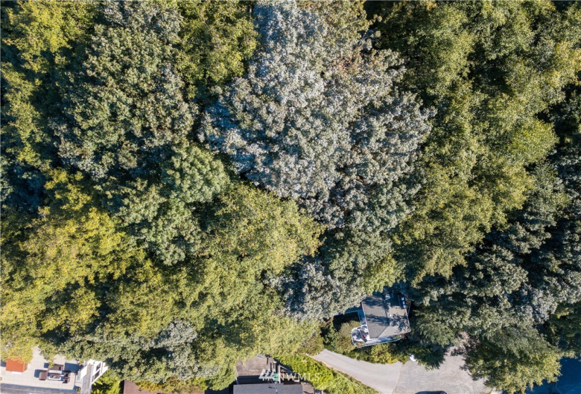 32 XX Esplanade, Seattle, Washington 98117, ,Land,For Sale,Esplanade,NWM1877171