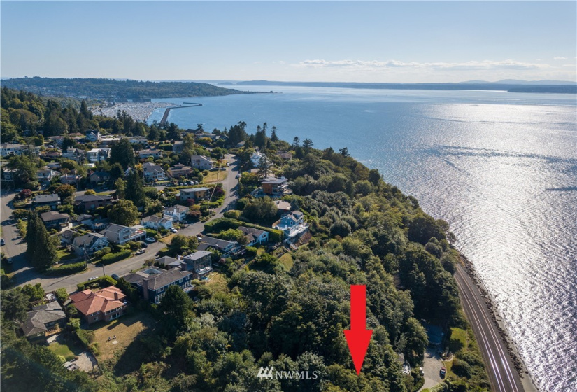32 XX Esplanade, Seattle, Washington 98117, ,Land,For Sale,Esplanade,NWM1877171