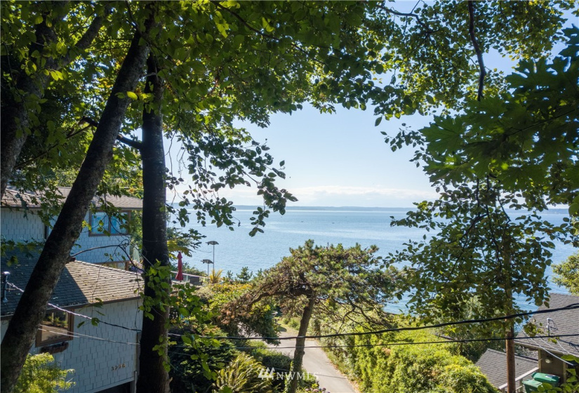 32 XX Esplanade, Seattle, Washington 98117, ,Land,For Sale,Esplanade,NWM1877171