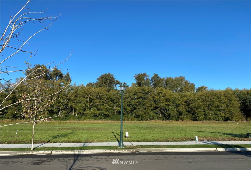 381 Broadmoor, Sequim, Washington 98382, ,Land,For Sale,Willow Creek Manor, Phase B,Broadmoor,NWM1877781
