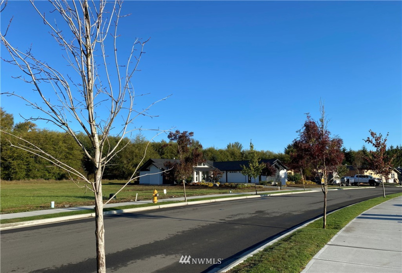 381 Broadmoor, Sequim, Washington 98382, ,Land,For Sale,Willow Creek Manor, Phase B,Broadmoor,NWM1877781